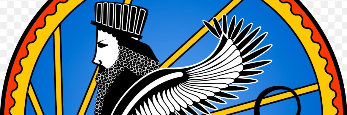 sepehr mohi's banner
