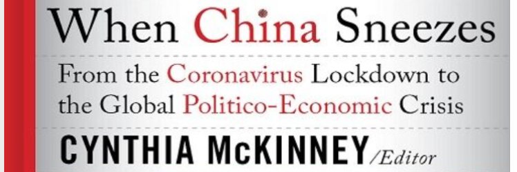 Cynthia McKinney PhD's banner