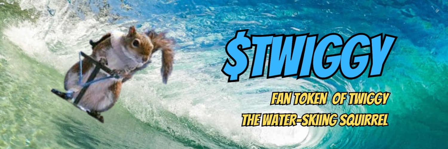 TWIGGY The Squirrel | FAN Page's banner