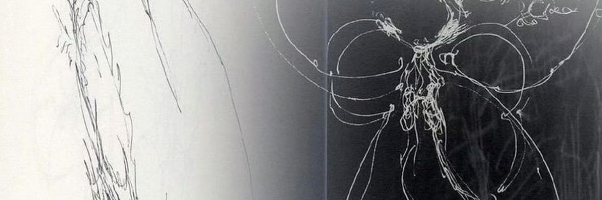 树犹如此's banner