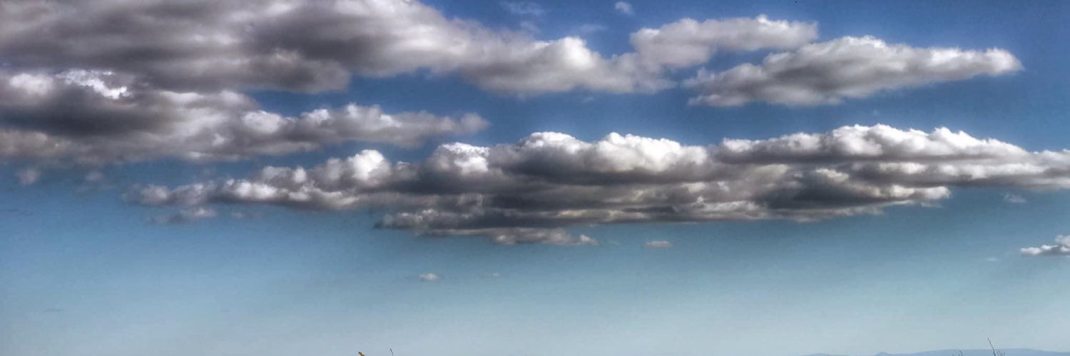 Rebecca Em Bloom's banner