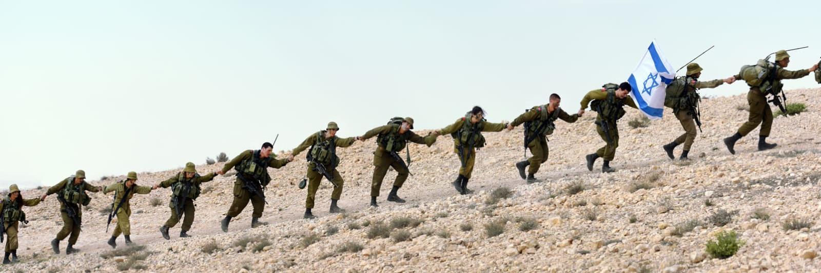Israel Defense Forces's banner