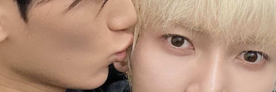 sansang yaoi truther 🐾's banner