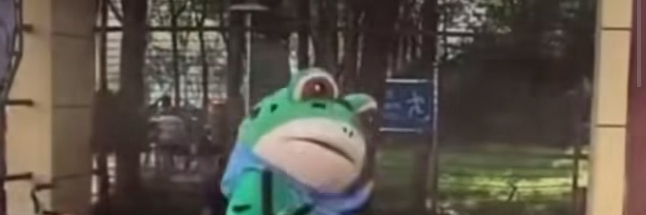 Win Froggy's banner