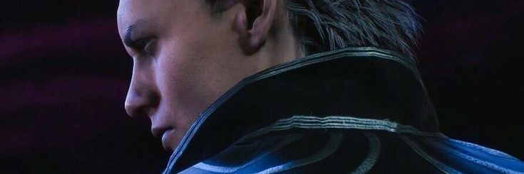 EXE.31's banner