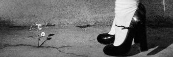 sammy | ARIANA DAY ꕤ's banner