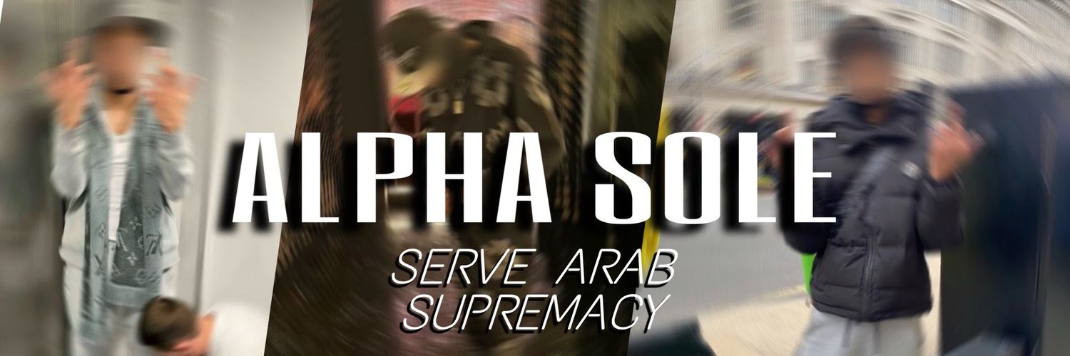 AlphaSole 🐺's banner