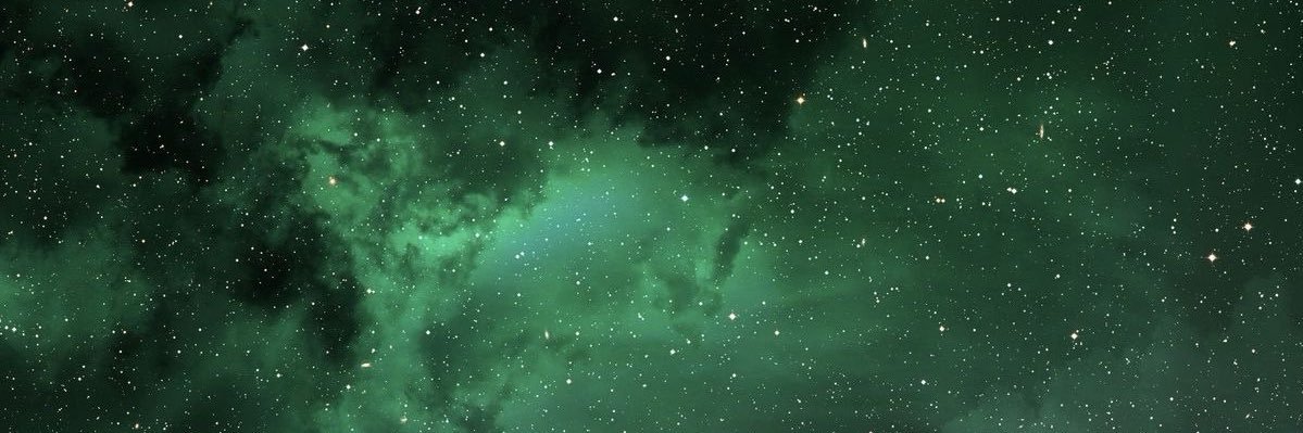 P1eSenb's banner