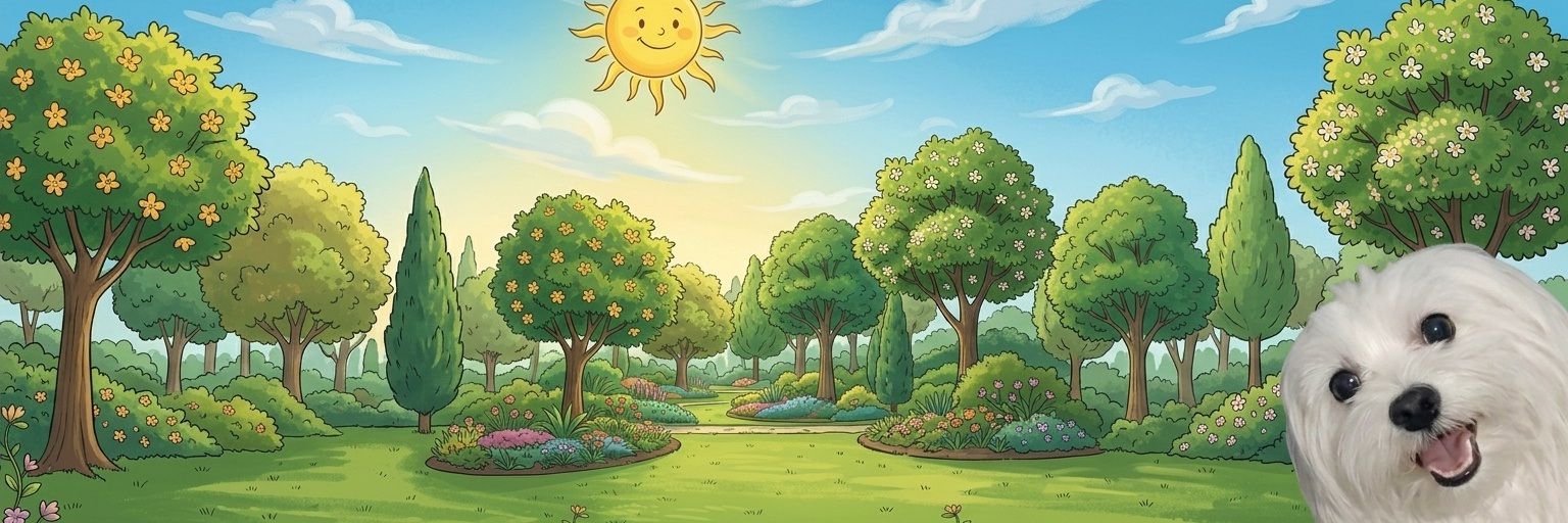 ب̜̌سمـة رضوانہ🍀's banner