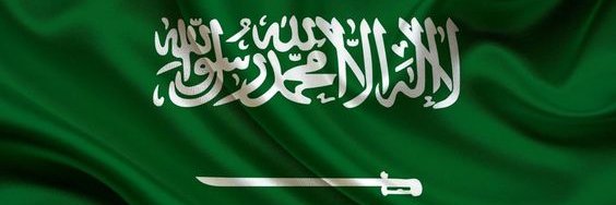 ندى محمود's banner