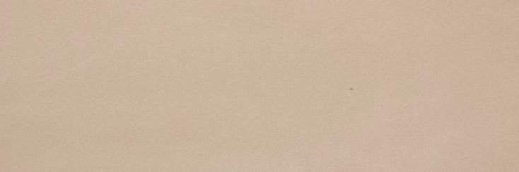 🦢's banner