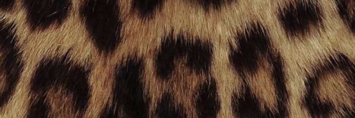 DIVA💕's banner