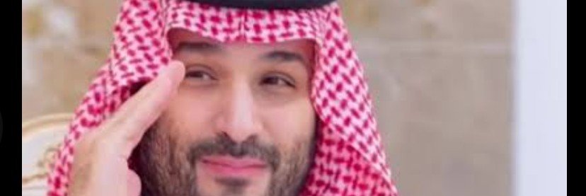 سيف الهرش آل رويبع's banner