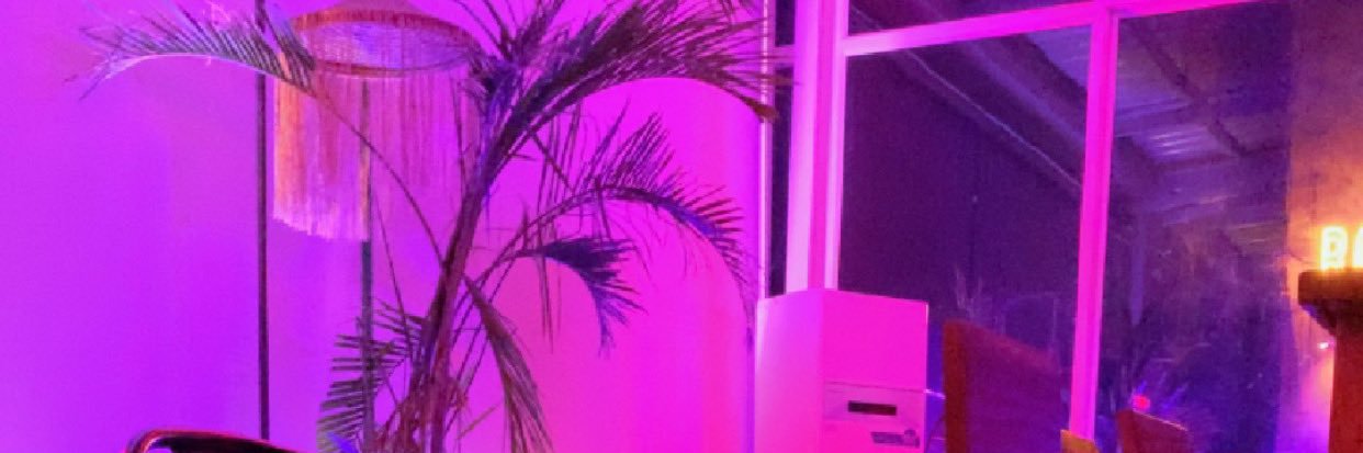 BELLATONE 🌸's banner