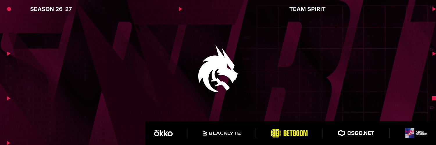 Team Spirit Dota 2's banner