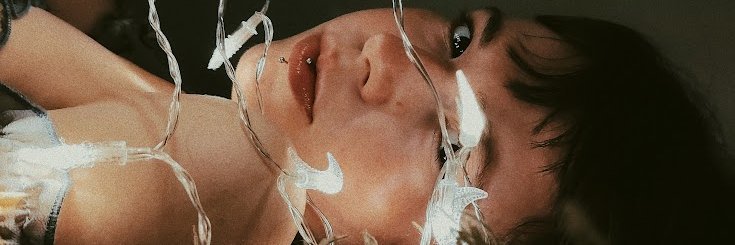 Lulu's banner