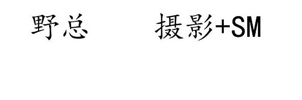 野总—10月在广深's banner