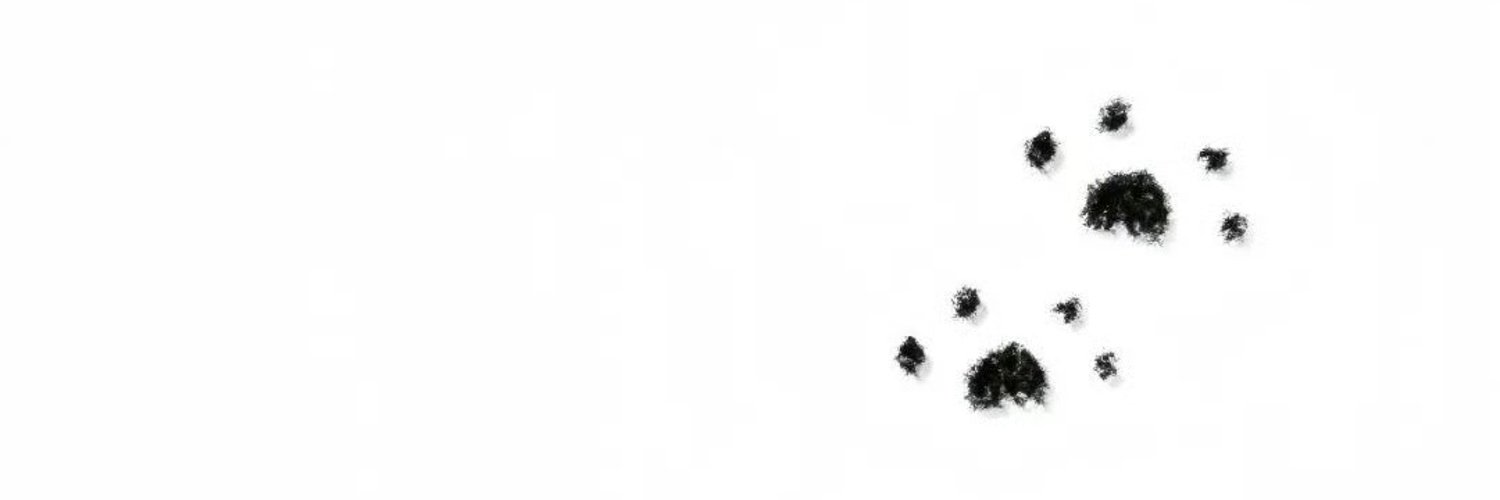 liun1999🦢's banner