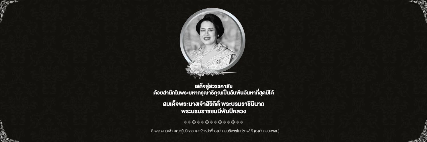 ChiangmaiNightSafari's banner