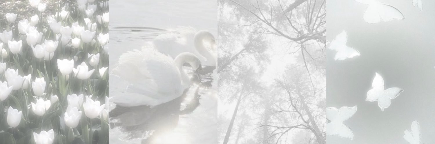 gigi ꕤ's banner