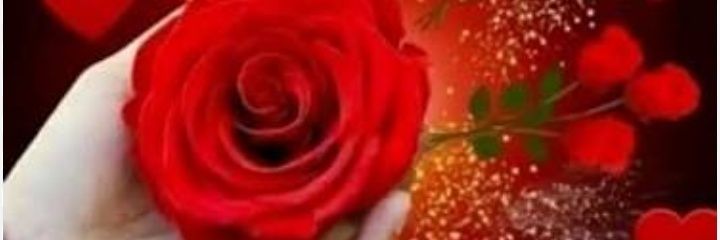 شيماء's banner