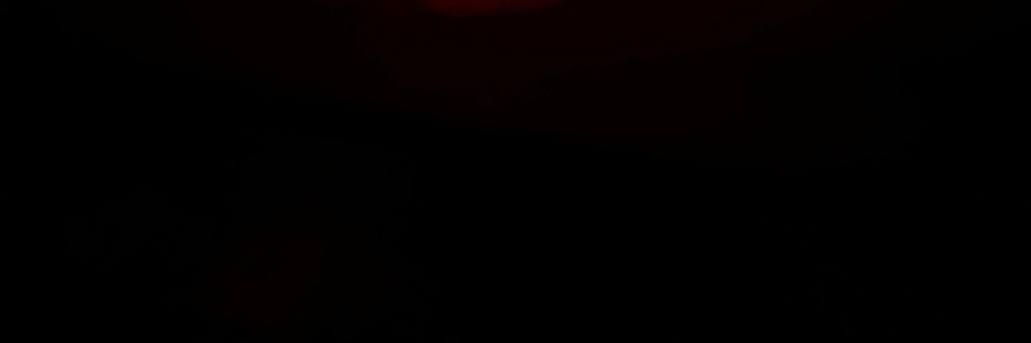 Sandrabolloxs's banner