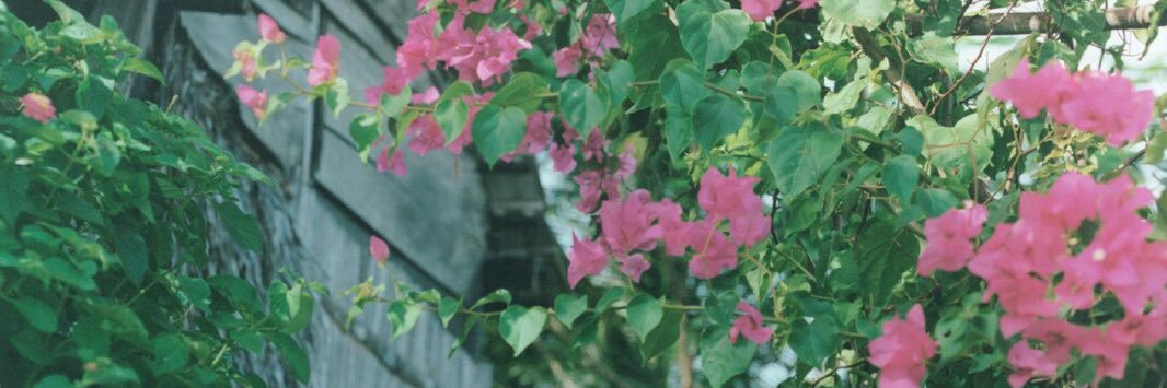 【公式】那蘭のどか1st写真集『忘れたくない』's banner