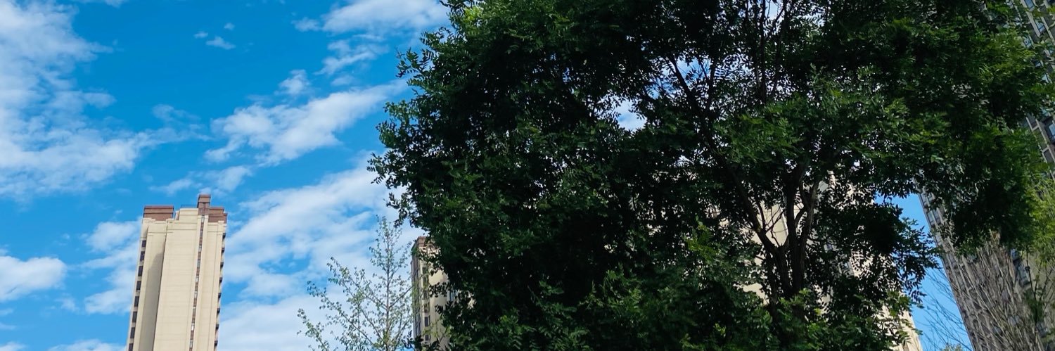 Sivona's banner