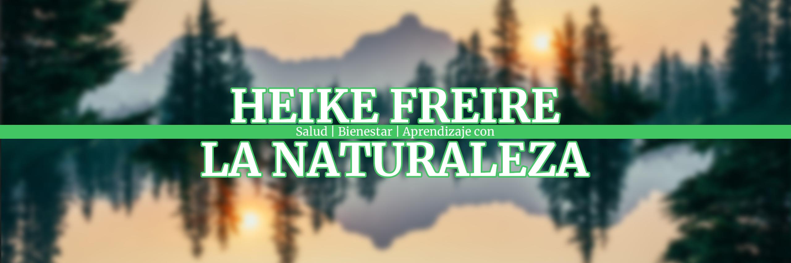 Heike Freire's banner