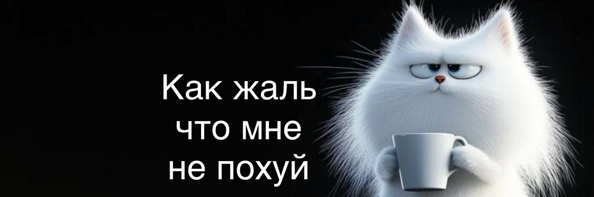 Фокси's banner