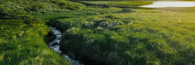 Nature Art's banner