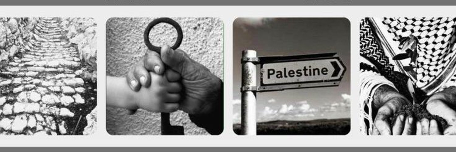 Sohair From Palestine 🇵🇸🍉's banner