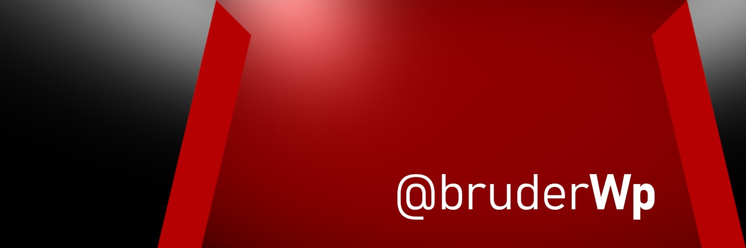 WP BRUDER's banner