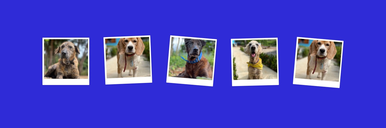 Happy Doggo's banner