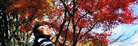 マッソウタヌキング's banner