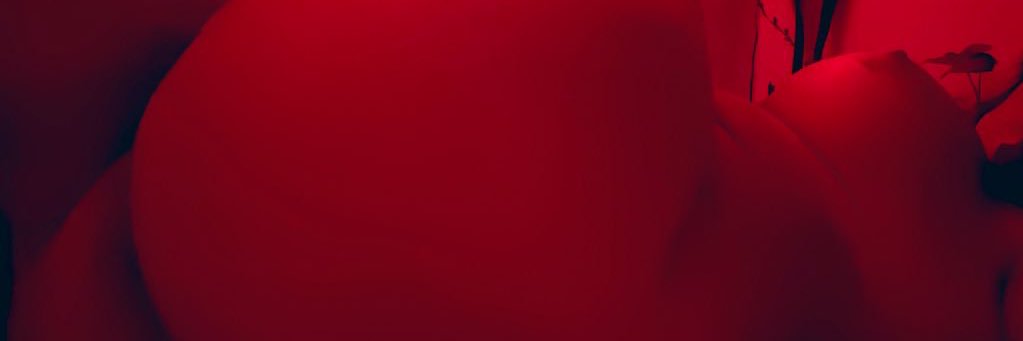 barbera's banner