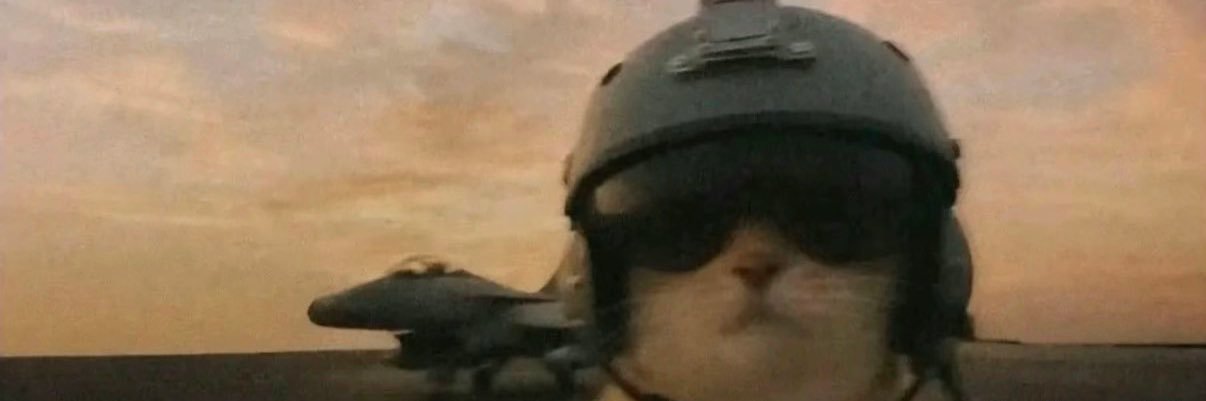 Chaddy's banner