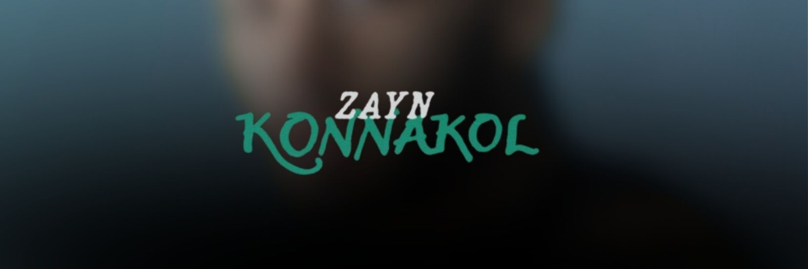 ZAYN MALIK CHILE 🌪's banner