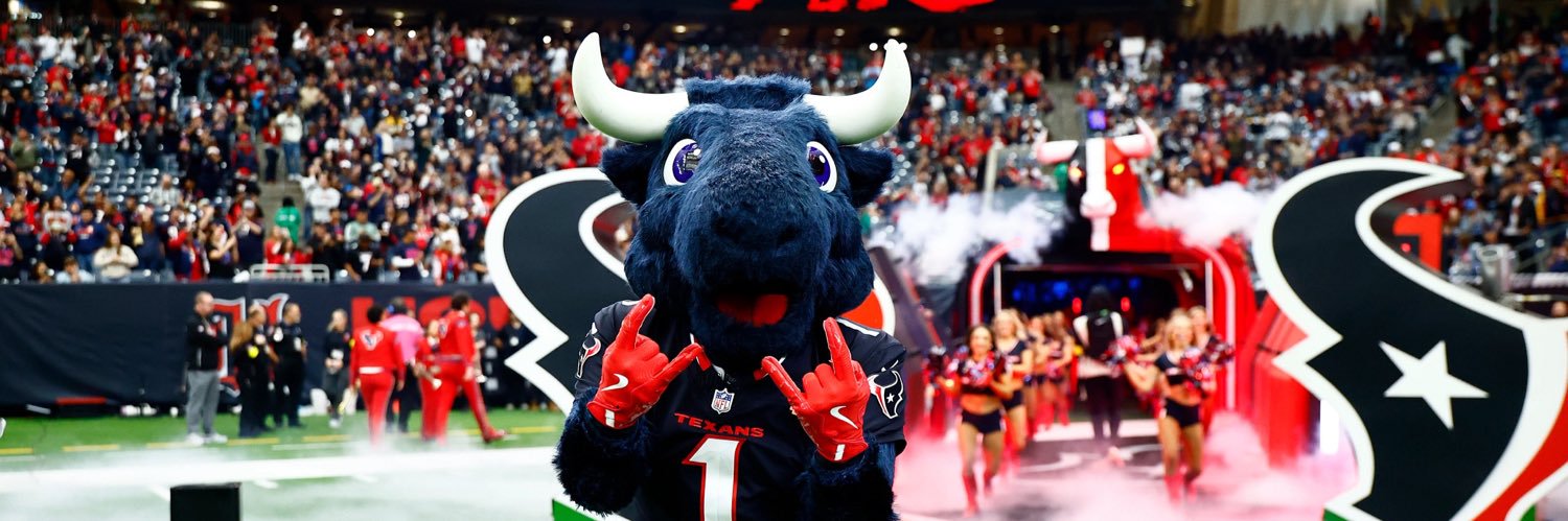 TORO 🐃's banner