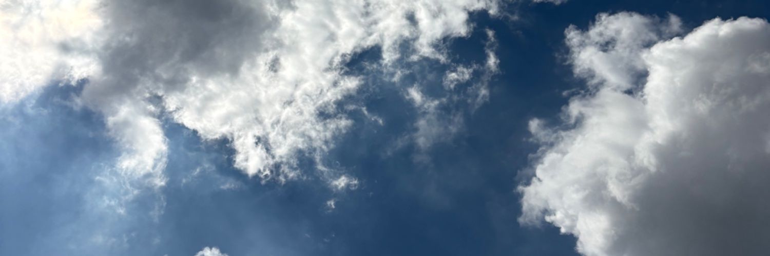 鷐翙's banner