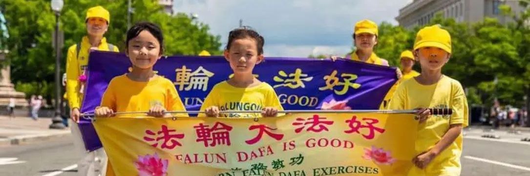 晓莲's banner