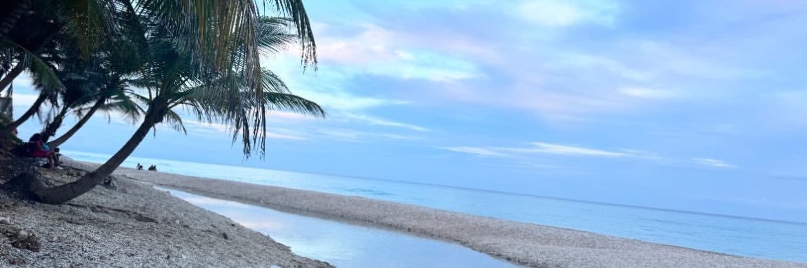 Papii_Zayy's banner