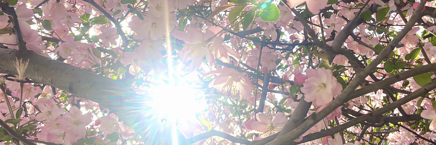 YY酱's banner