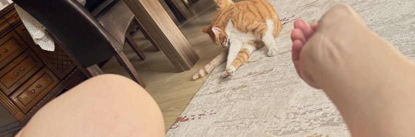 ❤️ betül ❤️'s banner