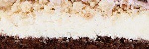renata's banner
