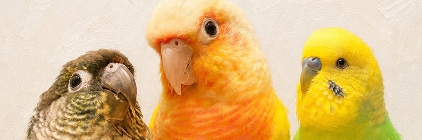 はぷ🦜ネモとユウとオトの飼い主's banner