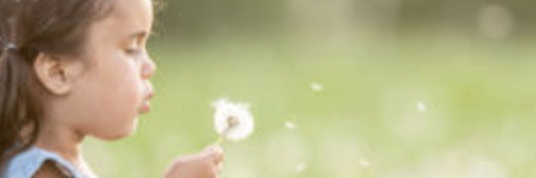 magali robin's banner