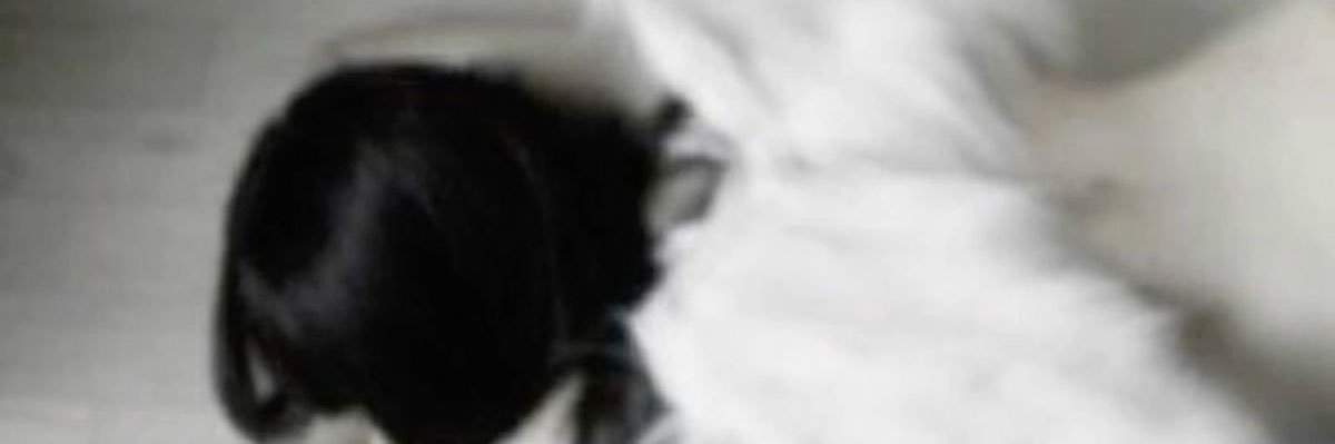 ˚❀⊹˚‧︵‿₊୨ᰔ୧₊‿︵‧˚₊⊹'s banner