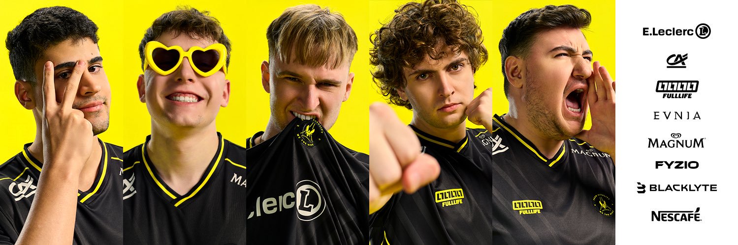 Team Vitality League's banner