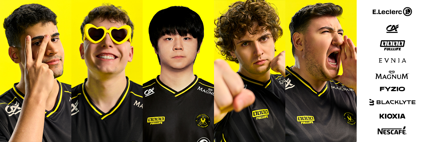 Team Vitality League's banner